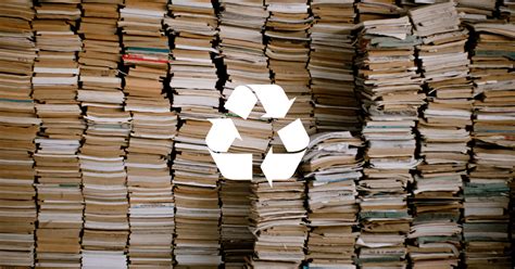 Can You Recycle Books and Their Place in Environmental Sustenance