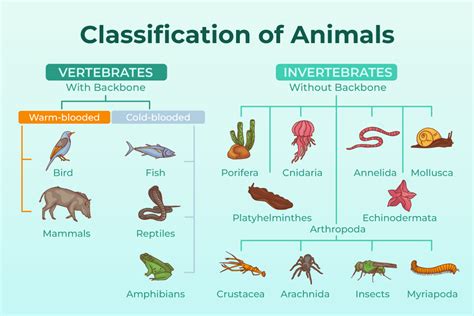 What Animals Like Music: An Insight into the Animal Kingdom’s Musical Preferences